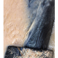 東莞地下水管漏水側(cè)漏 小區(qū)工廠水管檢測漏水_供應(yīng)產(chǎn)品-佛山奇達(dá)管線探測