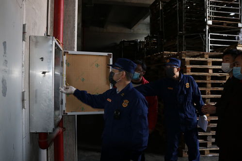 消防部門助力復(fù)工復(fù)產(chǎn) 專業(yè)服務(wù)筑牢企業(yè)安全防線